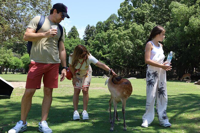 Luxury Kyoto 1-Day Private Car Tour with Nara & Osaka Options - Arashiyama District Walk: Bridge Views and Local Rhythm