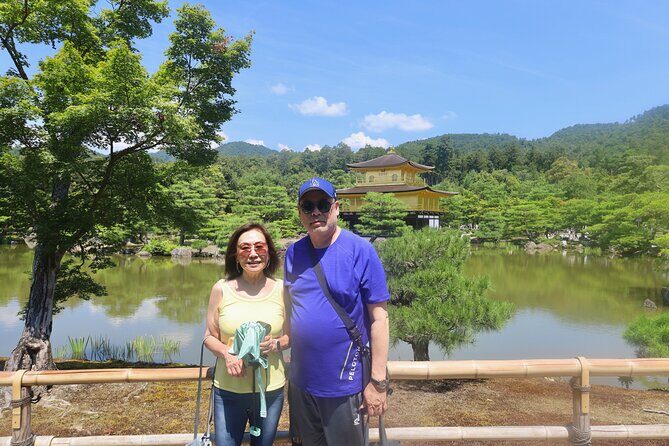 Luxury Kyoto 1-Day Private Car Tour with Nara & Osaka Options - Car Comfort and Photo Power: What Makes the Day Easier
