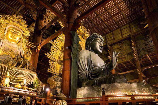 Nara 8hr Private Tour - Kyoto DEP. with Licensed Guide - Should you book it? My straight answer