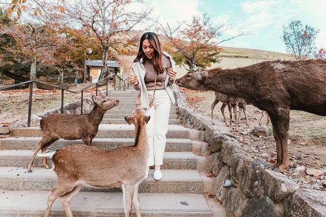 Nara Park, Osaka & Kobe from Kyoto Full Day tour - Dotonbori Osaka free time: where you can steer your own day