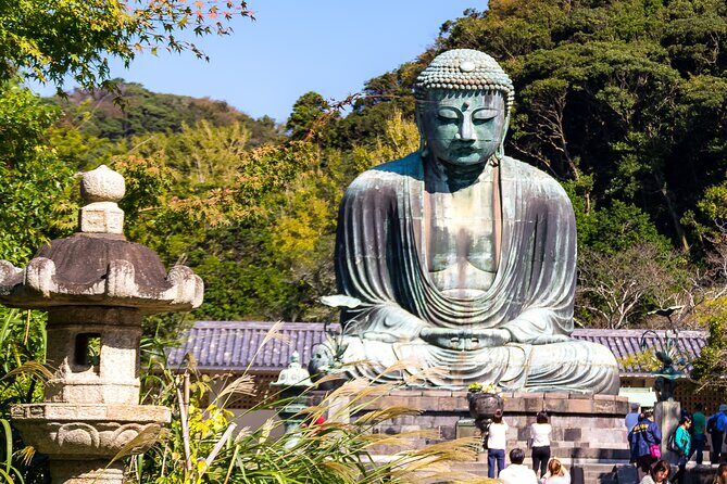Nara Todaiji Kasuga Taisha Private Full Day Tour From Kyoto - Key things that make this Nara day worth it