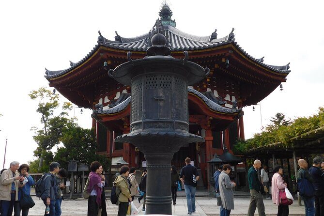 Nara Todaiji Kasuga Taisha Private Full Day Tour From Kyoto - Nara Park and the Sika deer: the part you’ll remember