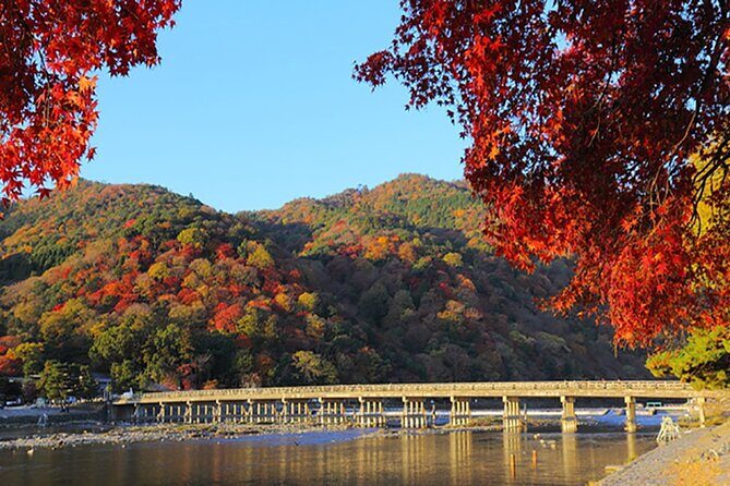 One-Day Tour of Kyoto's Highlights from Osaka/Kyoto - Stop 4: Arashiyama Bamboo Forest and the Togetsukyo Bridge