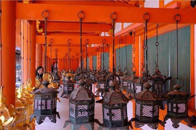 One-Day Walking Tour of Amazing 8th Century Capital Nara - Timing, Pace, and How the 8 Hours Work