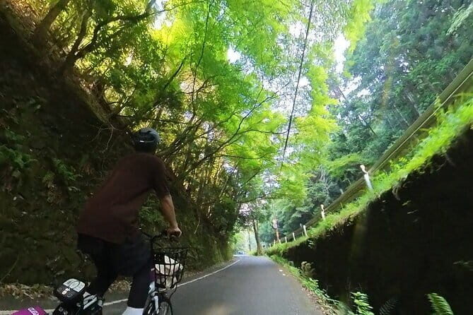 ONLY YOU in the Bamboo Forest! 4 hours E-bike tour with a local - Meeting Yuki at the Arashiyama station area: quick setup, then go