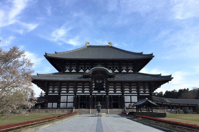Osaka and Nara Day Tour with Private Transportation - Why a private Osaka-and-Nara day beats DIY