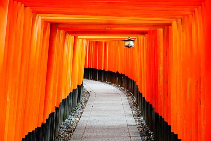 Osaka/Kyoto: Arashiyama, Nara & Fushimi Inari Shrine w/Lunch - Lunch at Kyoto Wasabi: Kobe shabu-shabu in a 120+ year Kyo-machiya