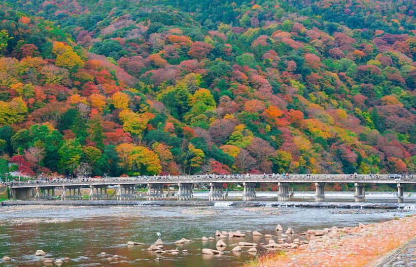 Osaka/Kyoto: Katsuoji, Kinkakuji, Arashiyama 1-Day Bus Tour - FAQ