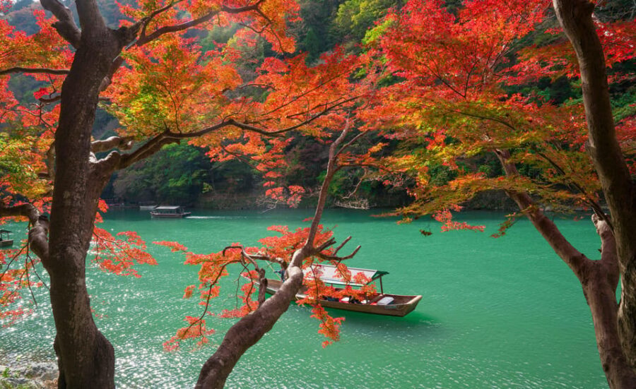 Osaka/Kyoto: Katsuoji, Kinkakuji, Arashiyama 1-Day Bus Tour - Price and value: what $56 buys you in Kyoto and Osaka