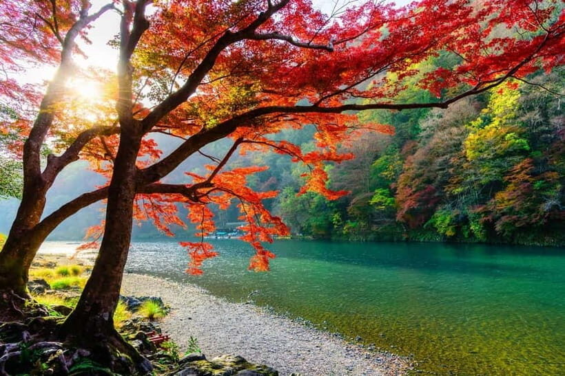 Osaka/Kyoto: Katsuoji, Kinkakuji, Arashiyama 1-Day Bus Tour - Who this one-day tour fits best (and who should skip it)