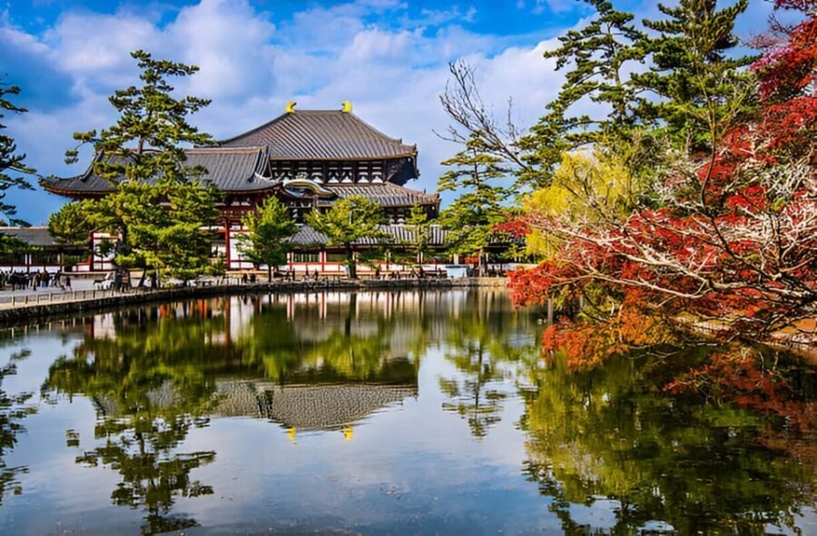 Osaka/Kyoto: Private Kyoto and Nara Day Trip - Price and group size: when $516 per group becomes smart math