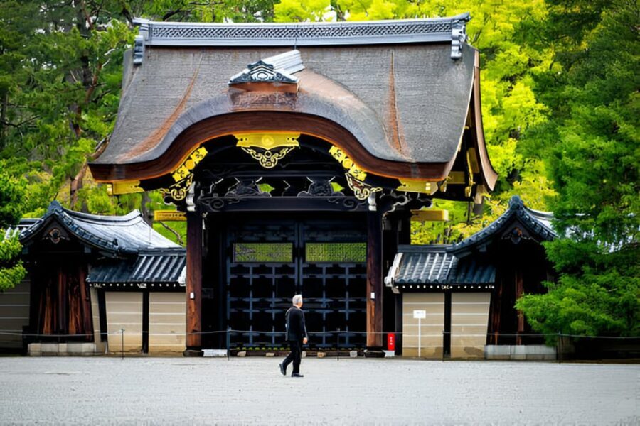 Osaka/Kyoto: Private Kyoto and Nara Day Trip - Nara Park and the deer factor (yes, you’ll see them up close)