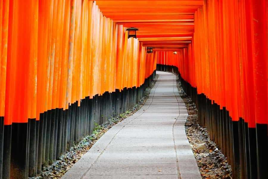 Osaka/Kyoto:Kinkakuji,Arashiyama,FushimiInariShrine,NaraPark - Key takeaways before you go