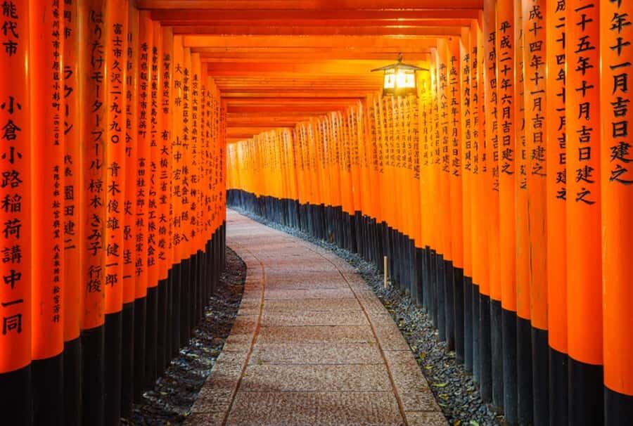 Osaka/Kyoto:Kinkakuji,Arashiyama,FushimiInariShrine,NaraPark - Price and what you’re actually paying for