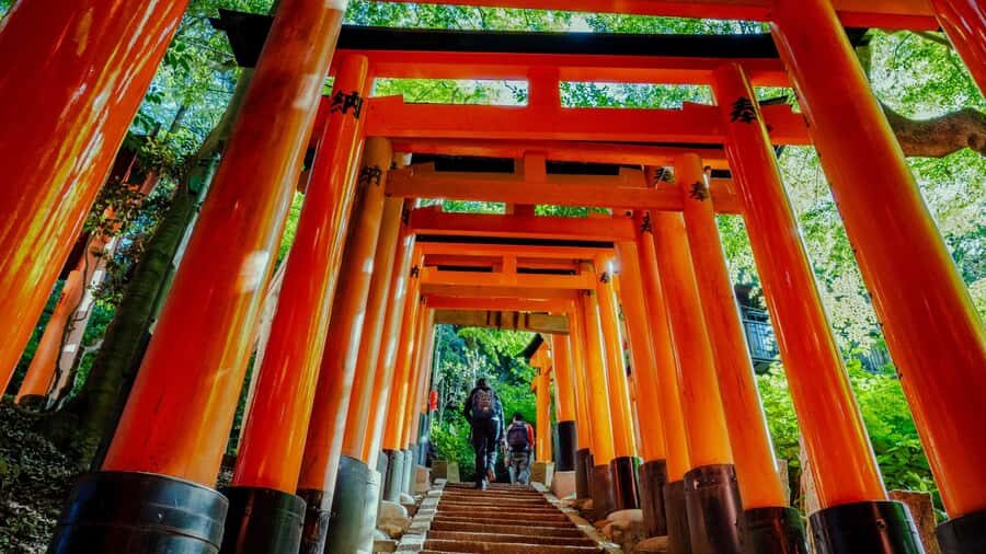 Osaka/Kyoto:Kinkakuji,Arashiyama,FushimiInariShrine,NaraPark - Nara Park and Todai-ji: deer first, then a Great Buddha day