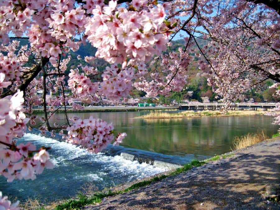 Osaka/Kyoto:Kinkakuji,Arashiyama,FushimiInariShrine,NaraPark - Fushimi Inari Shrine: the torii tunnel and the meaning behind it