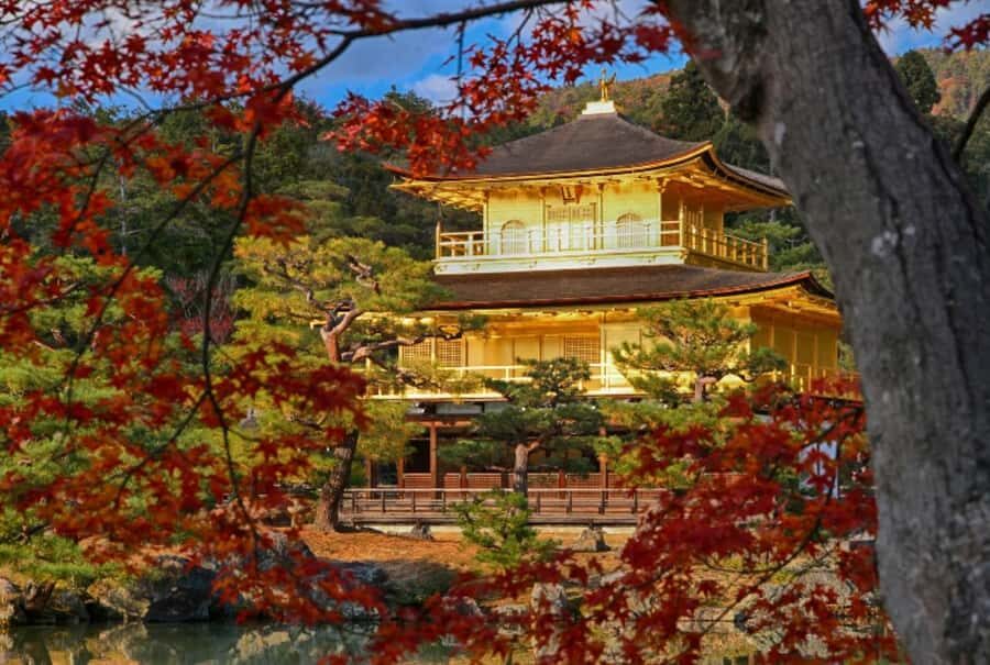 Osaka/Kyoto:Kinkakuji,Arashiyama,FushimiInariShrine,NaraPark - Kobe beef shabu-shabu lunch: when the upgrade is worth it