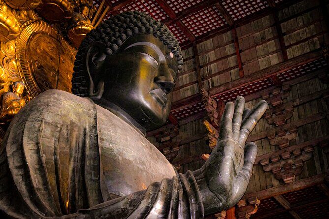 Osaka & Nara in 1-Day by Private Van with Local Expert Guide - Key highlights that make this 1-day Osaka and Nara trip work