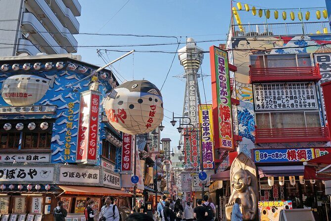 Osaka & Nara in 1-Day by Private Van with Local Expert Guide - What you actually pay for: value behind the $300 group price