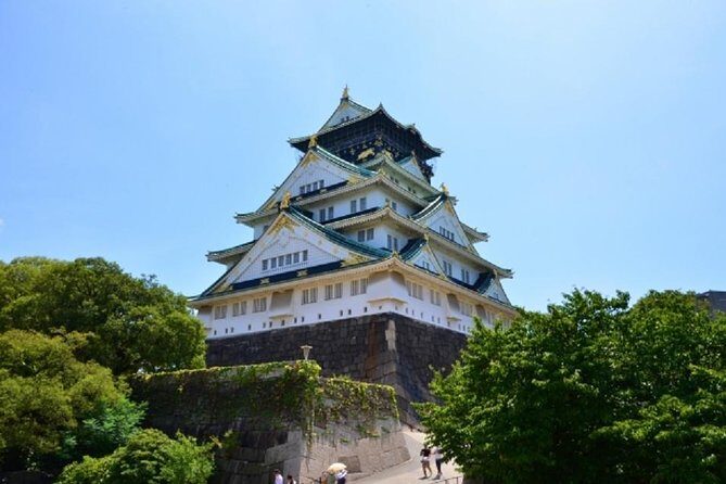 Osaka Private Tour by Public Transportation from Kyoto - Price and Value: What’s Included Versus Your Wallet