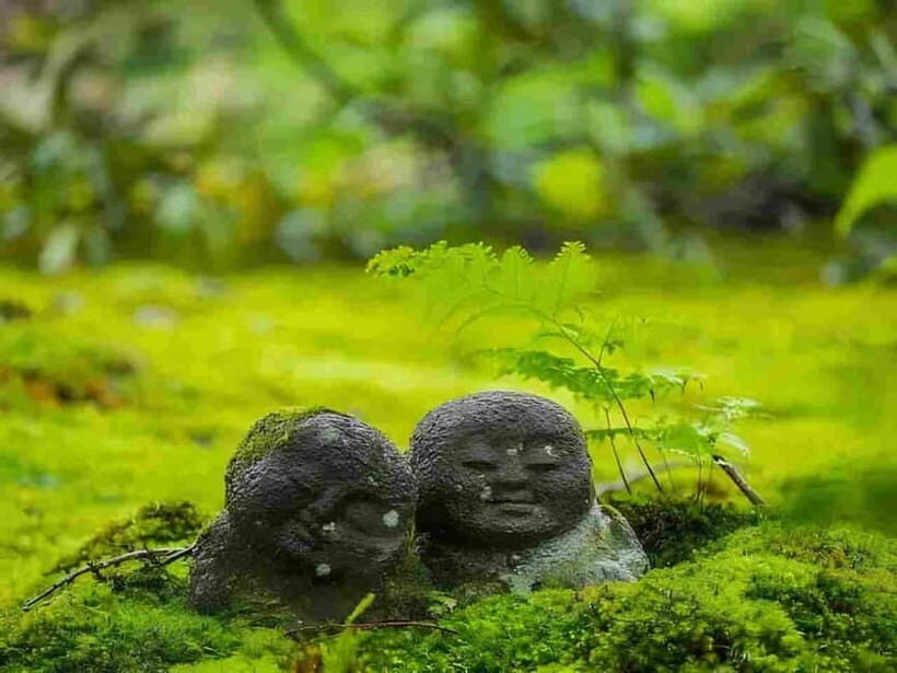 Osaka to Kyoto: Arashiyama Bamboo Grove Small Group Tour - Price and what you really get for $69