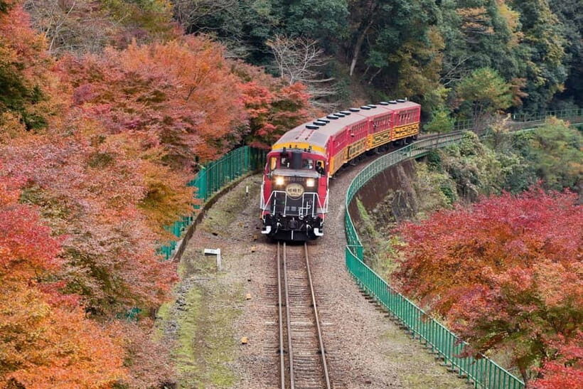 Osaka to Kyoto: Arashiyama Bamboo Grove Small Group Tour - Arashiyama Station Kimono Forest: 600 dyed pillars before the bamboo