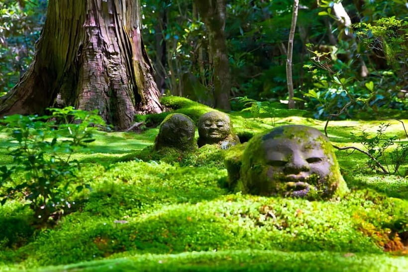Osaka to Kyoto: Arashiyama Bamboo Grove Small Group Tour - Arashiyama bamboo grove: sun-dappled tunnel time