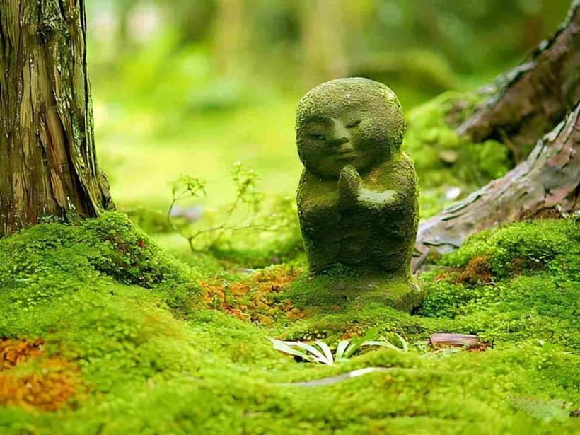 Osaka to Kyoto: Arashiyama Bamboo Grove Small Group Tour - Transportation, guides, and the 9-guest group advantage