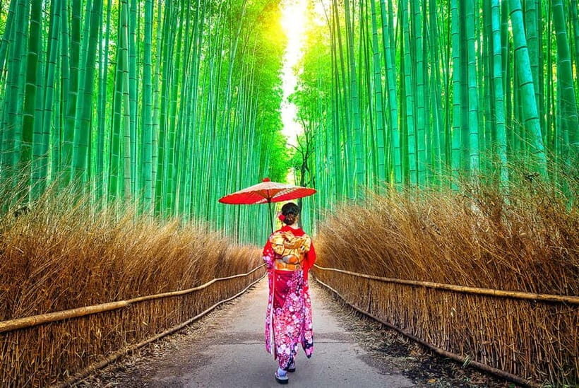 Osaka to Kyoto: Arashiyama Bamboo Grove Small Group Tour - Osaka to Kyoto timing: how the day stays on track