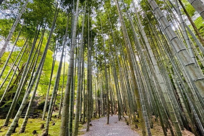 Pedal Adventure Kyoto E-Bike tour : True Kyoto Avoid the crowds - Kyoto e-bike, but with room to breathe