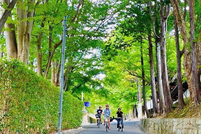 Pedal Adventure Kyoto's iconic landmarks on an e-bike tour - Gion in the first 10 minutes: geisha culture without the overwhelm