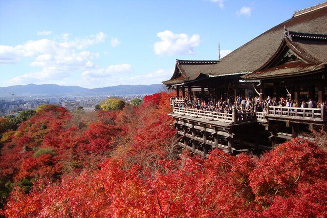 PERFECT KYOTO 1-Day Bus Tour - Key highlights at a glance