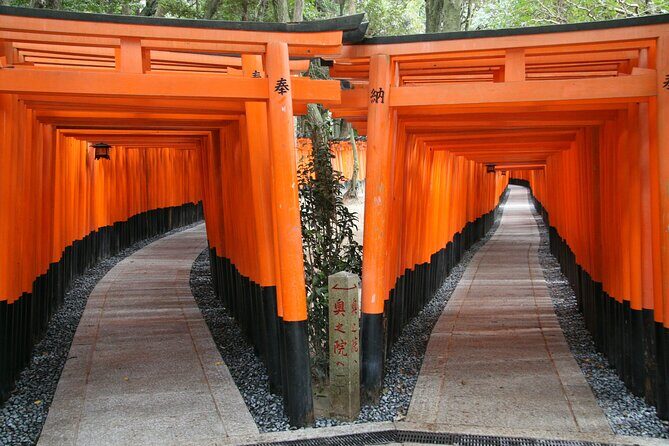 PERFECT KYOTO 1-Day Bus Tour - Why this 1-day Kyoto bus tour works for most first-timers