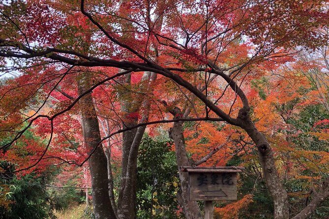 Private car tour in Kyoto (up to 4) - Stop 3: Nijo Castle and the power story in Kyoto