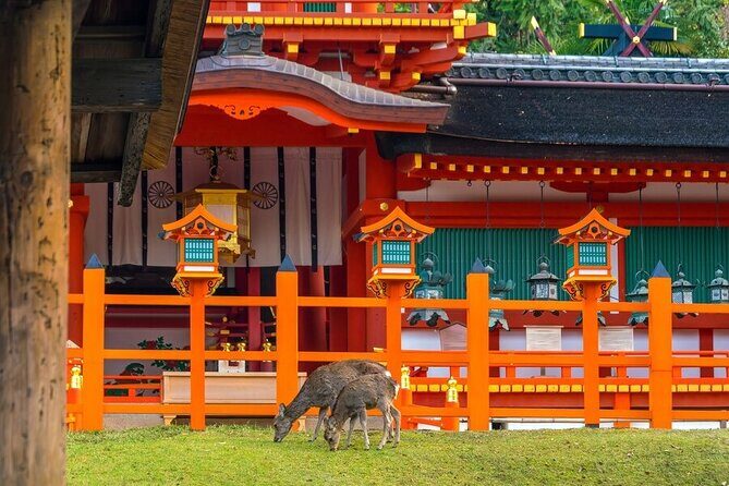 Private Customized 3 Full Days Tour Package: Discover Kyoto, Arashiyama and Nara - A 3-day Kyoto, Arashiyama, and Nara loop with clean timing