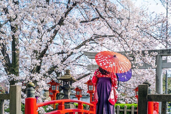 Private Customized 3 Full Days Tour Package: Discover Kyoto, Arashiyama and Nara - Weather and timing: the part you can’t control