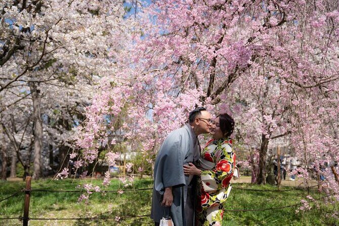 Private Customized Tour with Local Guide In Kyoto - Key highlights at a glance