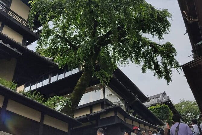 Private Customized Walking Tour in Kyoto - How the schedule feels: 4 to 9 hours, with you in control