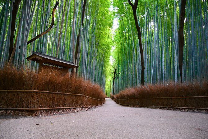 Private Day Tour - Kyoto Arashiyama & Bamboo Forest Perfect Tour! - Key Highlights You’ll Actually Feel