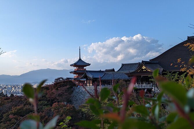 Private Guided Historical Sightseeing Tour in Kyoto - Meeting Up Without Losing Half Your Day