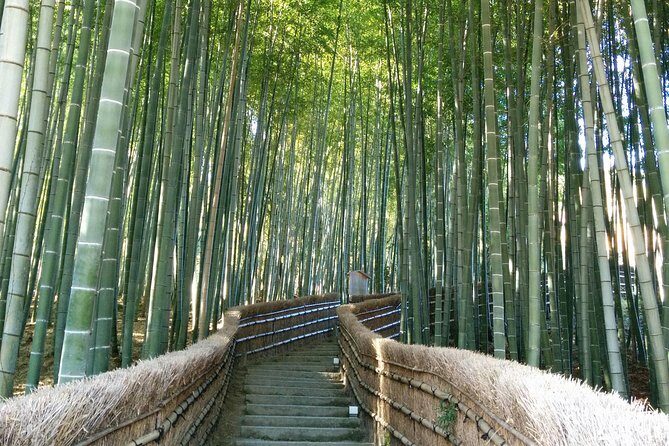 Private Highlights of Kyoto Tour - Key things I’d circle before you book