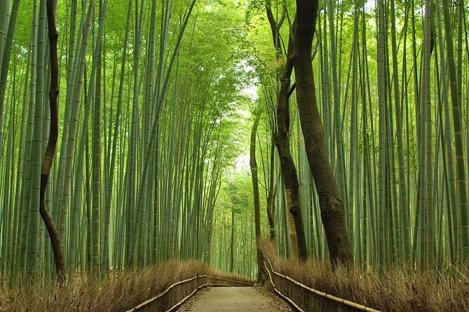 Private Kyoto Arashiyama Custom Half-Day Tour by Chartered Vehicle - Why a private Arashiyama charter is worth it