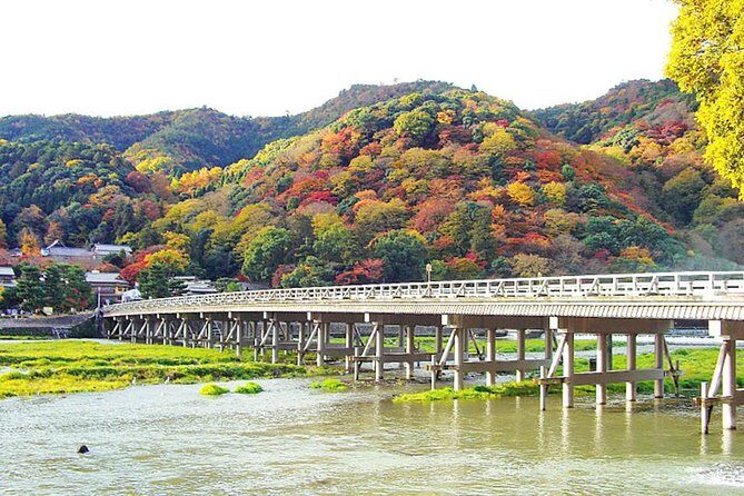 Private Kyoto Arashiyama Custom Half-Day Tour by Chartered Vehicle - Stop 2: Tenryu-ji Temple and why the gardens matter