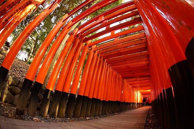 Private Kyoto Custom One Day Tour by Chartered Vehicle - Your Stop-by-Stop Day: Kyoto Highlights That Fit in One 8-Hour Block