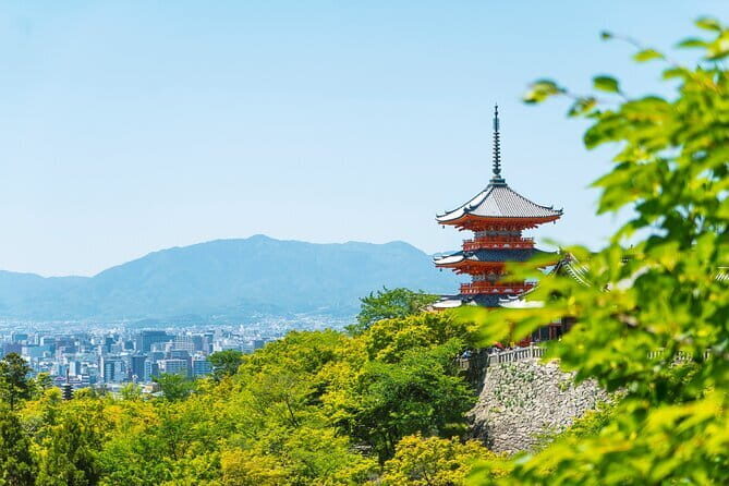 Private Kyoto Customizable Day Tour with English Speaking Driver - Kinkaku-ji Golden Pavilion: a paid highlight with big photo potential