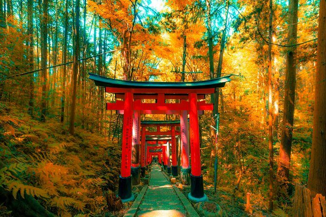 Private Kyoto Customizable Day Tour with Guide and Vehicle - Arashiyama bamboo grove area: pretty nature, easy-to-overlook walking