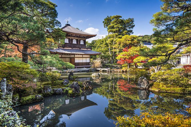 Private Kyoto Family Tour with a Local – 100% Personalized - Stop 4: A covered market with colorful stalls and snack-ready discoveries