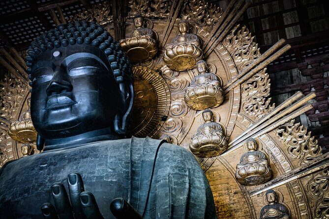 Private Kyoto Tour by Car with Optional Nara or Osaka Add-Ons - Crowds, pacing, and timing: what 7–8 hours feels like