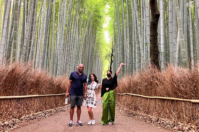 Private Kyoto Tour with Licensed Guide & Vehicle (Max 15 persons) - Gion and the back alleys you’ll want a local for