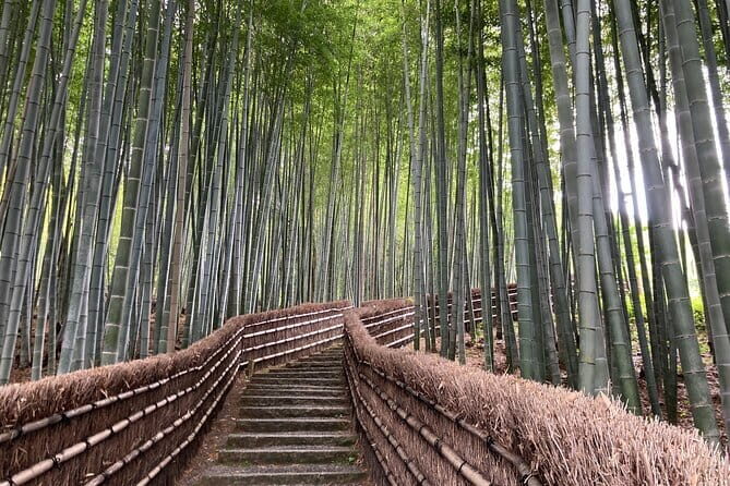 Private Kyoto with Exceptional Guide Tailored to Your Needs - What makes each stop feel worth your time (and not just photo bait)